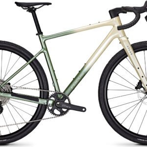 Focus ATLAS 6.7 Champagne / Mintgrey